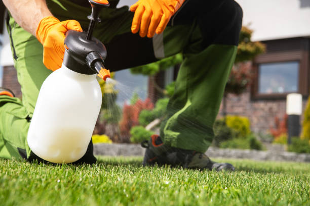 Best Pest Prevention Services  in Rancho Palos Verdes, CA