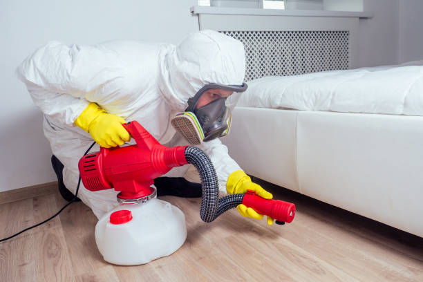 Best Wasp Removal Services  in Rancho Palos Verdes, CA