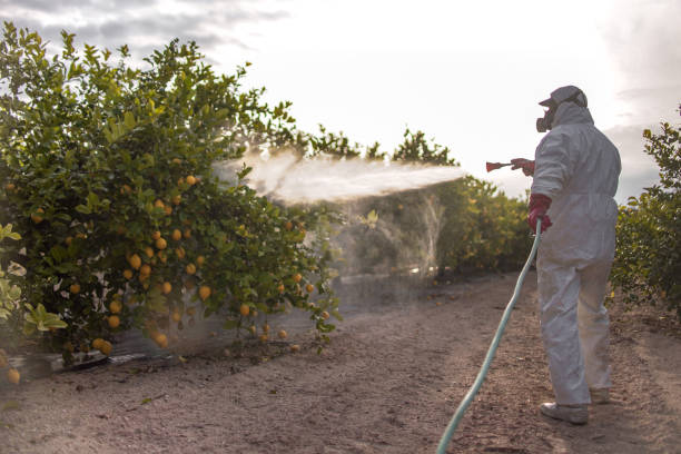  Rancho Palos Verdes, CA Pest Control Pros