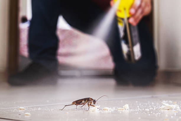 Best Wildlife Control Services  in Rancho Palos Verdes, CA