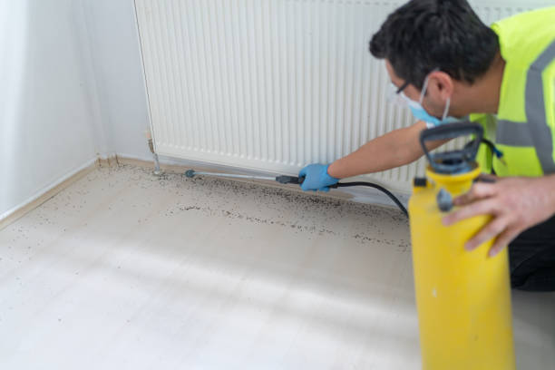 Flea Control Services in Rancho Palos Verdes, CA